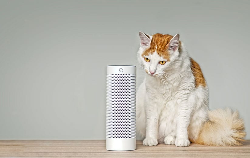 Sind Sprachassistenten die neuen Haustiere? Bild: GettyImages