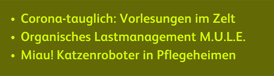 Weihnachts-Quiz News & Stories - Option 2